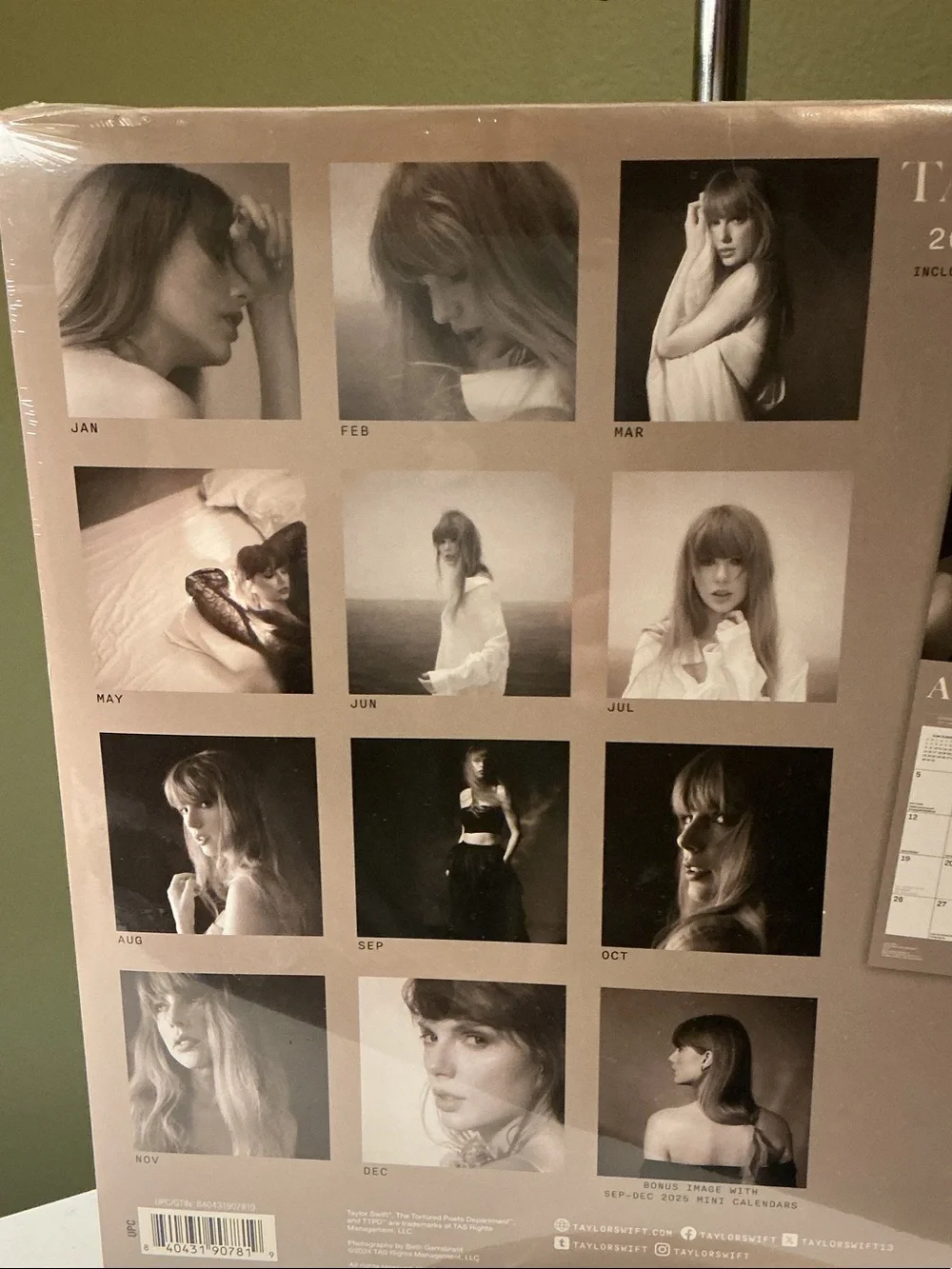 Taylor Swift taylor swift